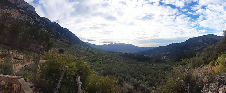 Seregalls Olivar Fornalutx Biniaraix Soller Walking Tour