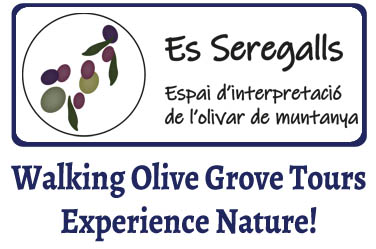 Seregalls Olive Grove Walking Tours